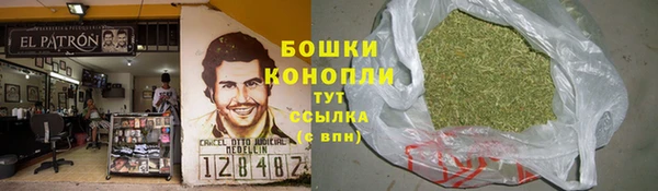 первитин Богданович
