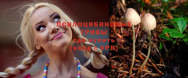 сатива Богородицк