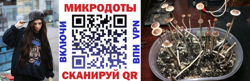 Галлюциногенные грибы мухоморы  сколько стоит  Ипатово 
